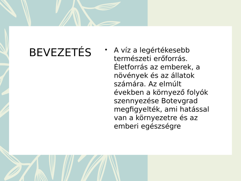 BEVEZETÉS