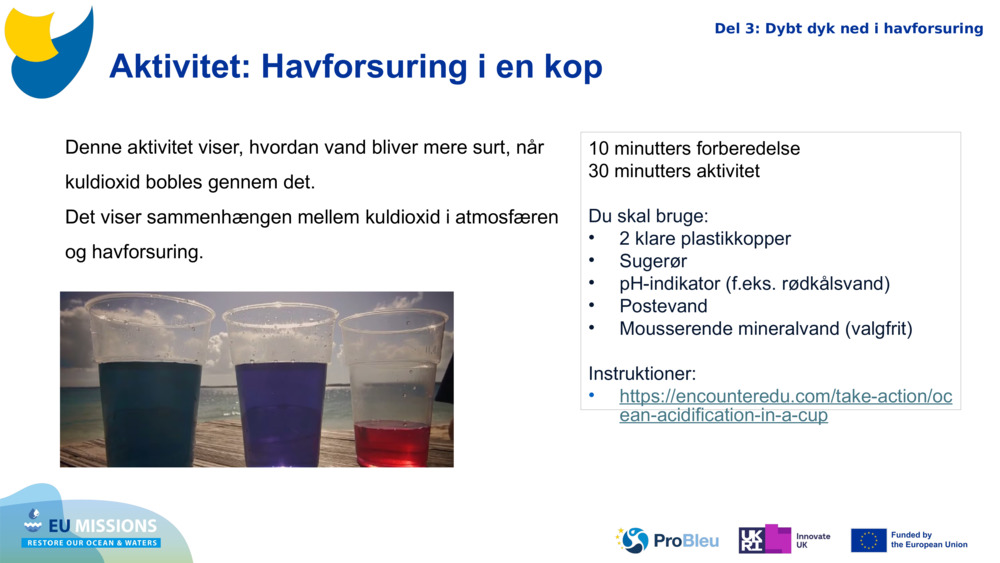 Aktivitet: Havforsuring i en kop 