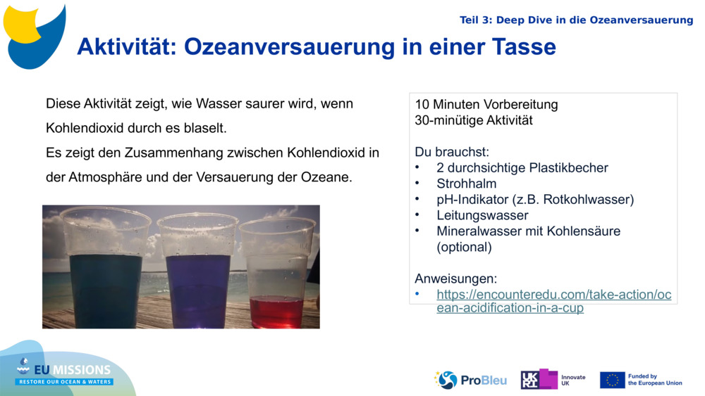 Aktivität: Ozeanversauerung in einer Tasse 
