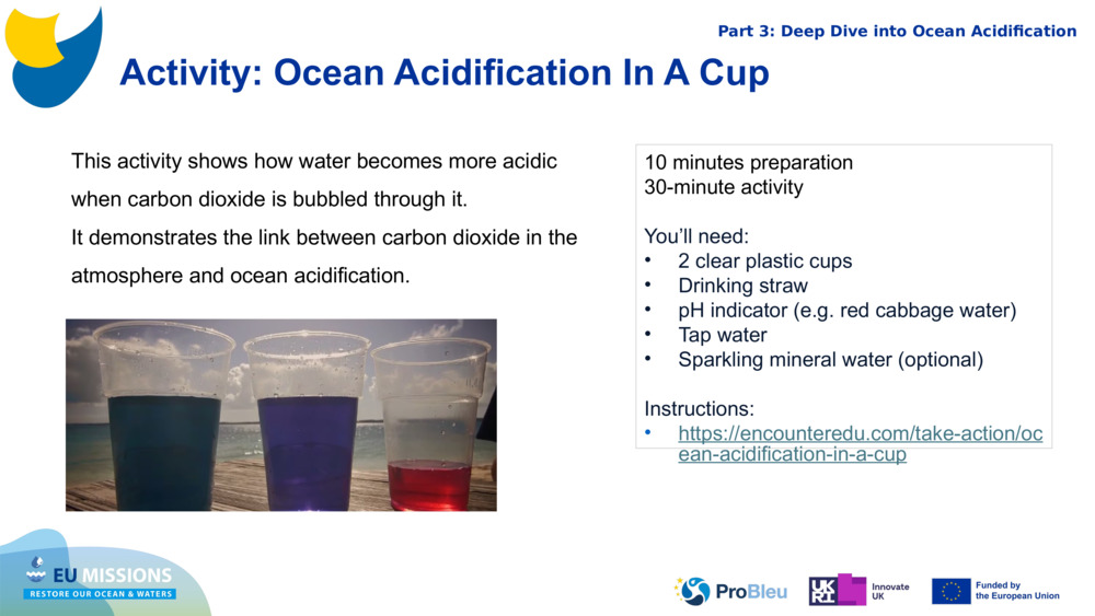 Activity: Ocean Acidification In A Cup 