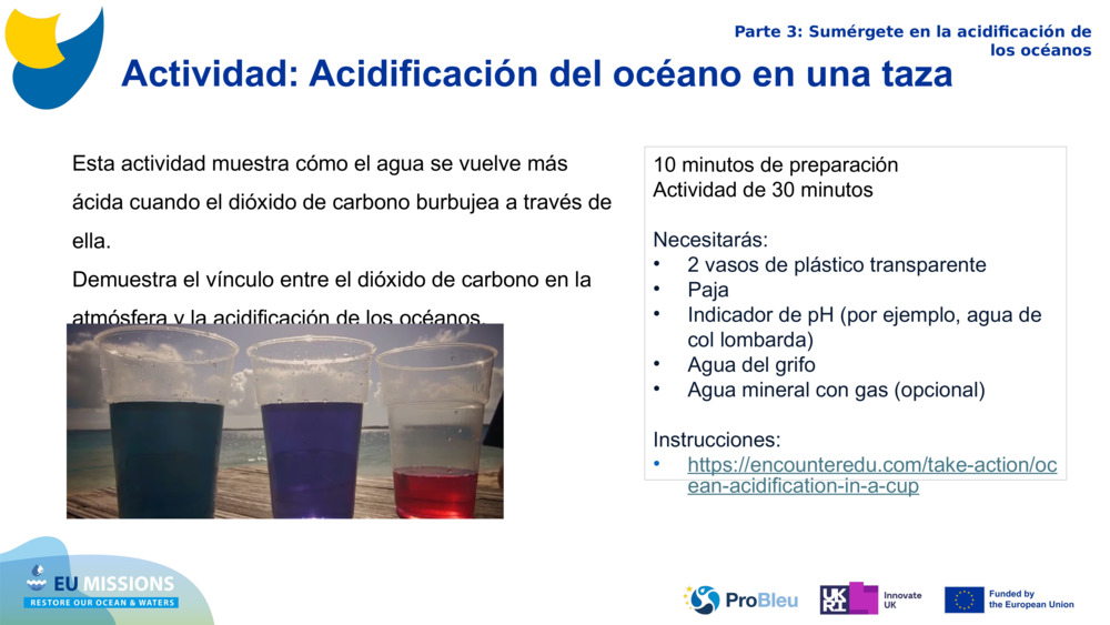 Actividad: Acidificación del océano en una taza 