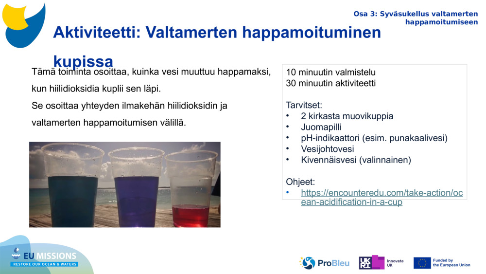 Aktiviteetti: Valtamerten happamoituminen kupissa 