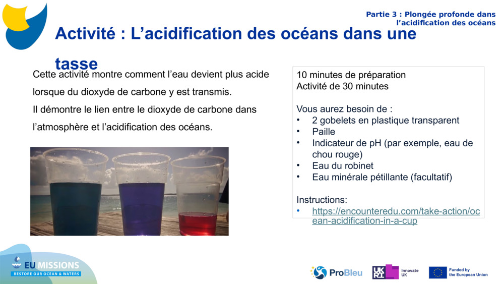 Activité : L’acidification des océans dans une tasse 