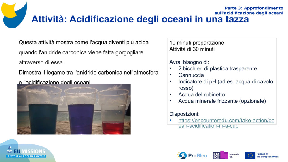 Attività: Acidificazione degli oceani in una tazza 