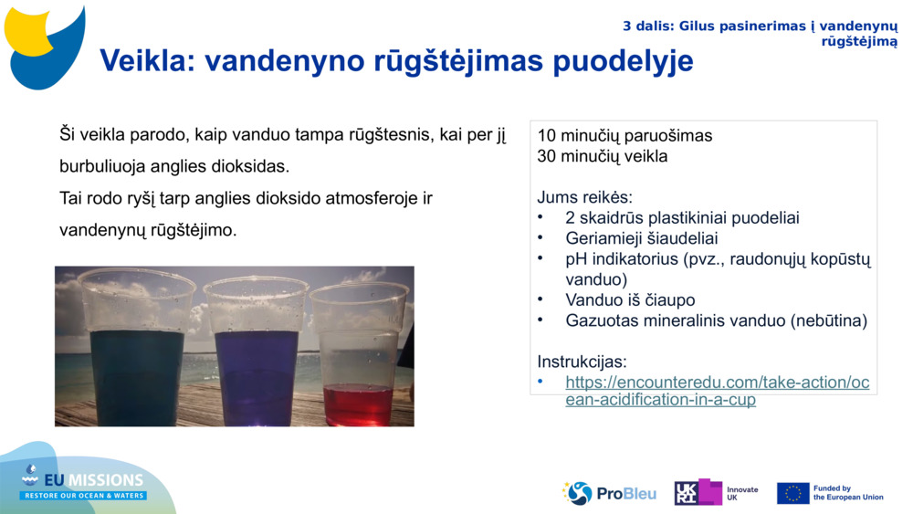 Veikla: vandenyno rūgštėjimas puodelyje 