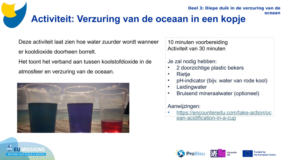 Activiteit: Verzuring van de oceaan in een kopje 