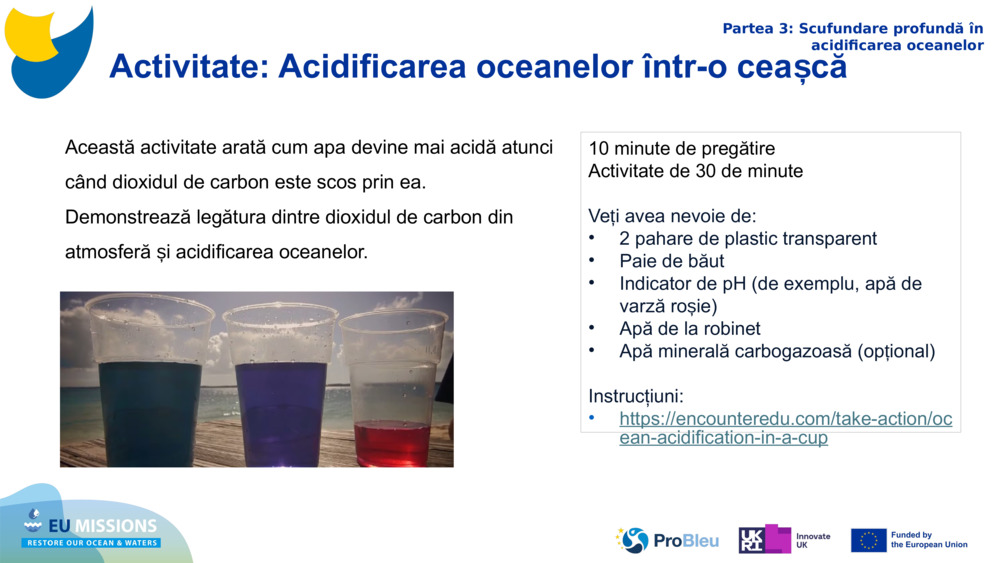 Activitate: Acidificarea oceanelor într-o ceașcă 
