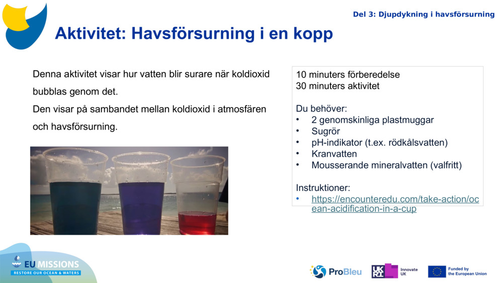 Aktivitet: Havsförsurning i en kopp 
