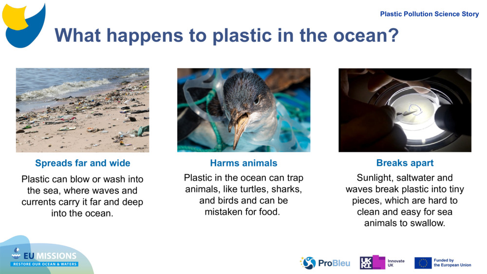 What happens to plastic in the ocean?