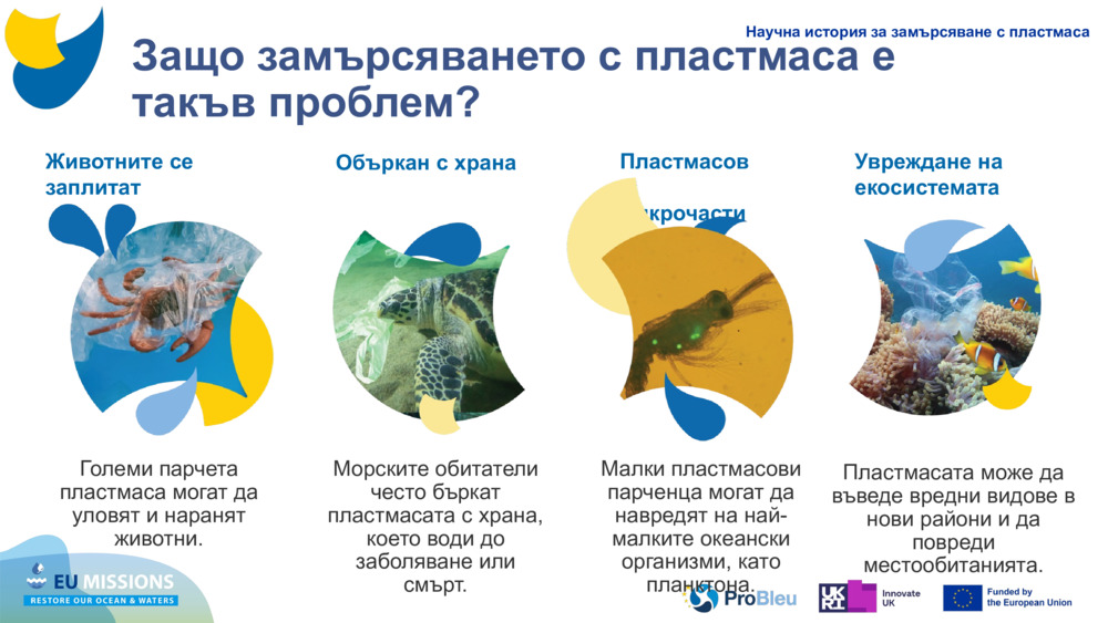 Животните се заплитат