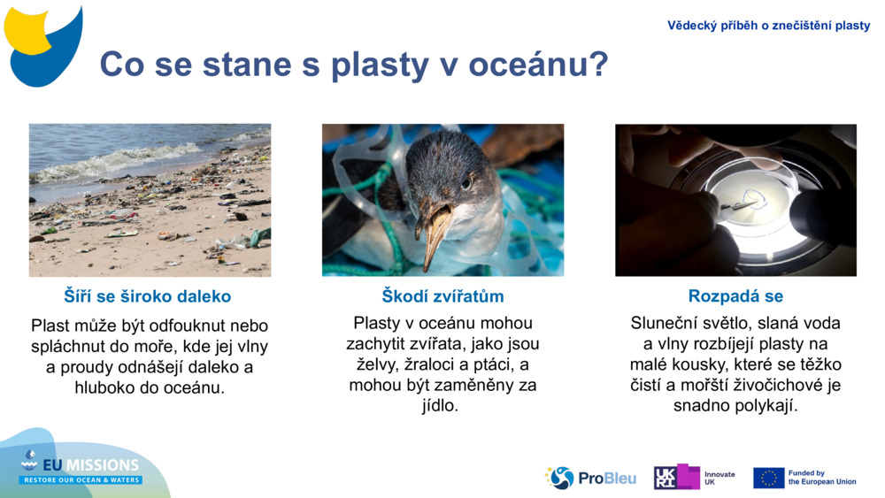 Co se stane s plasty v oceánu?