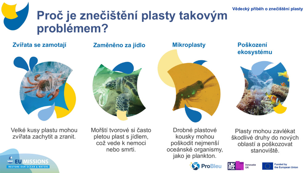 Zvířata se zamotají