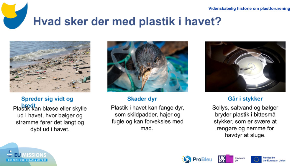 Hvad sker der med plastik i havet?