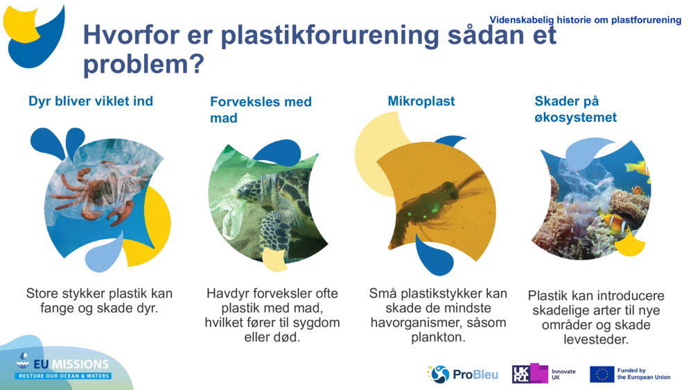 Dyr bliver viklet ind