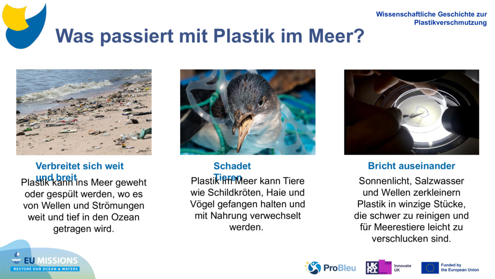 Was passiert mit Plastik im Meer?