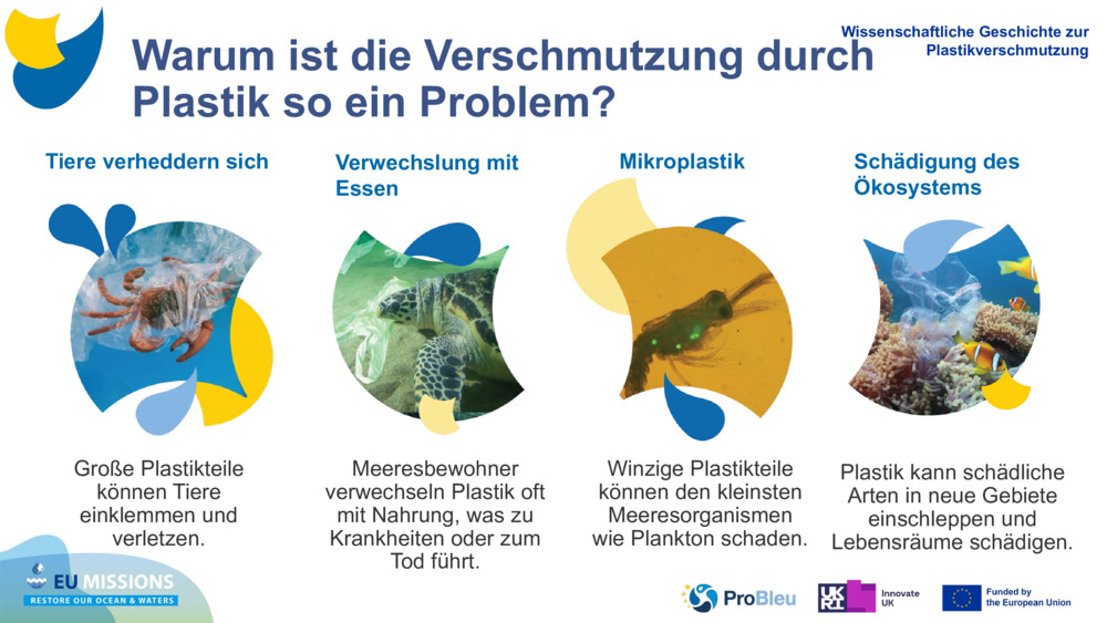 Tiere verheddern sich