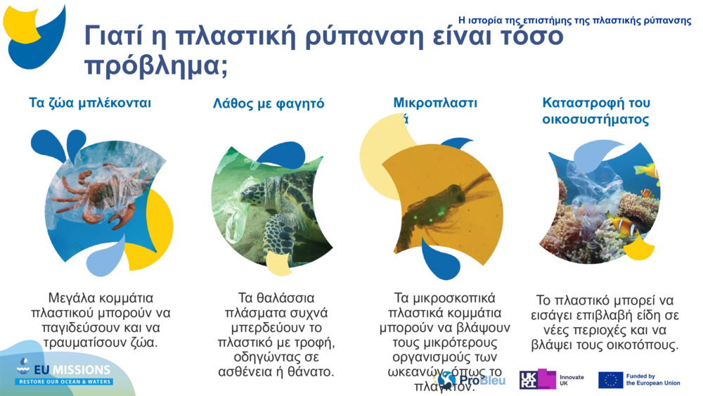 Τα ζώα μπλέκονται