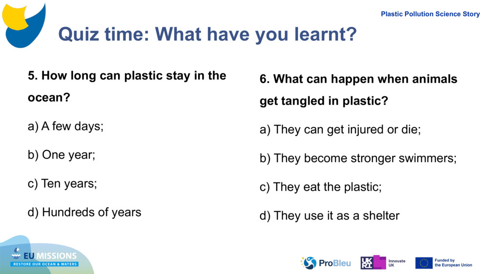 Quiz time: What have you learnt?