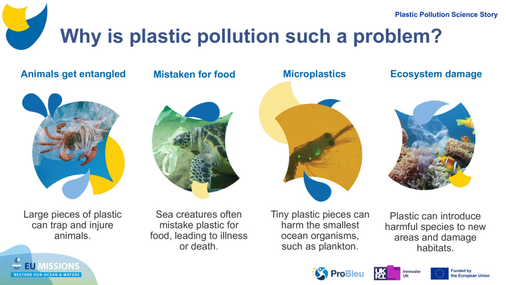 Animals get entangled