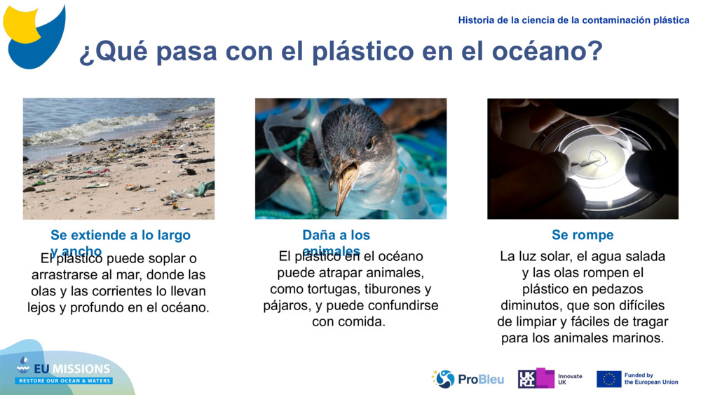 ¿Qué pasa con el plástico en el océano?