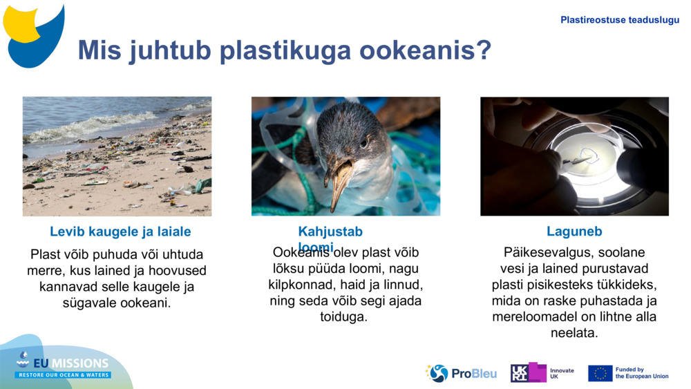 Mis juhtub plastikuga ookeanis?