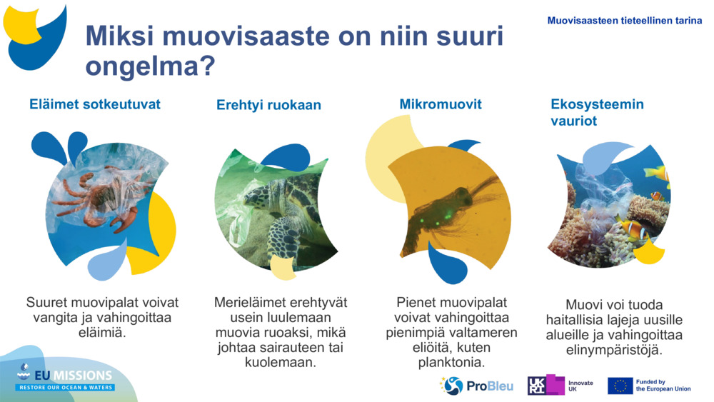 Eläimet sotkeutuvat