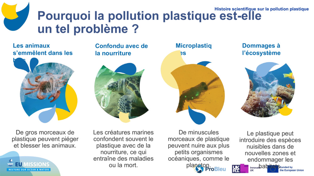 Les animaux s’emmêlent dans les bras