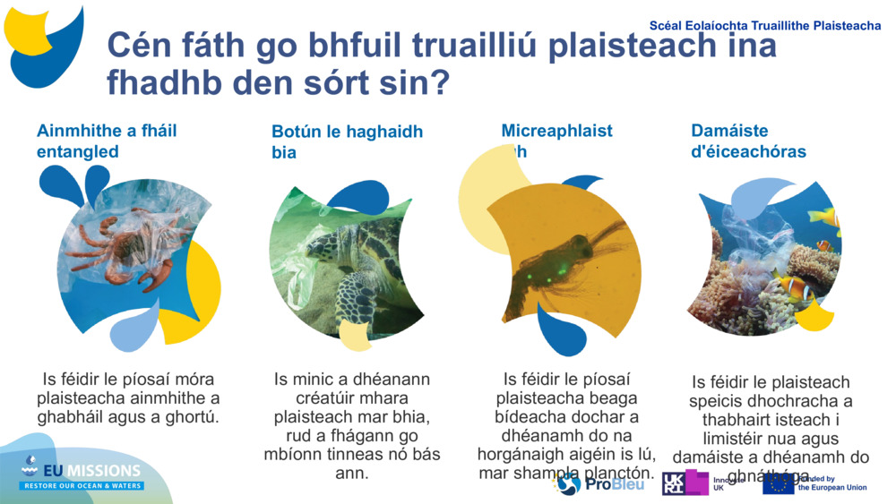 Ainmhithe a fháil entangled