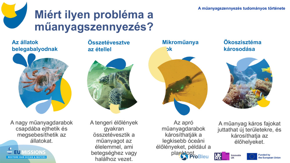 Az állatok belegabalyodnak