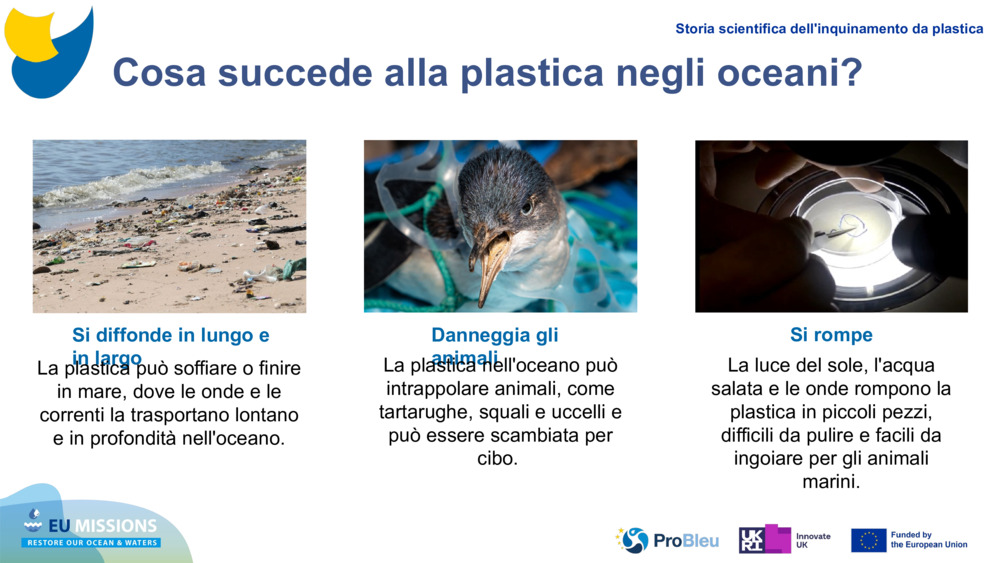 Cosa succede alla plastica negli oceani?