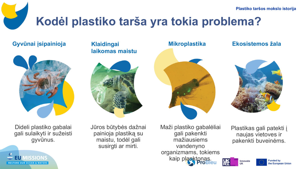 Gyvūnai įsipainioja