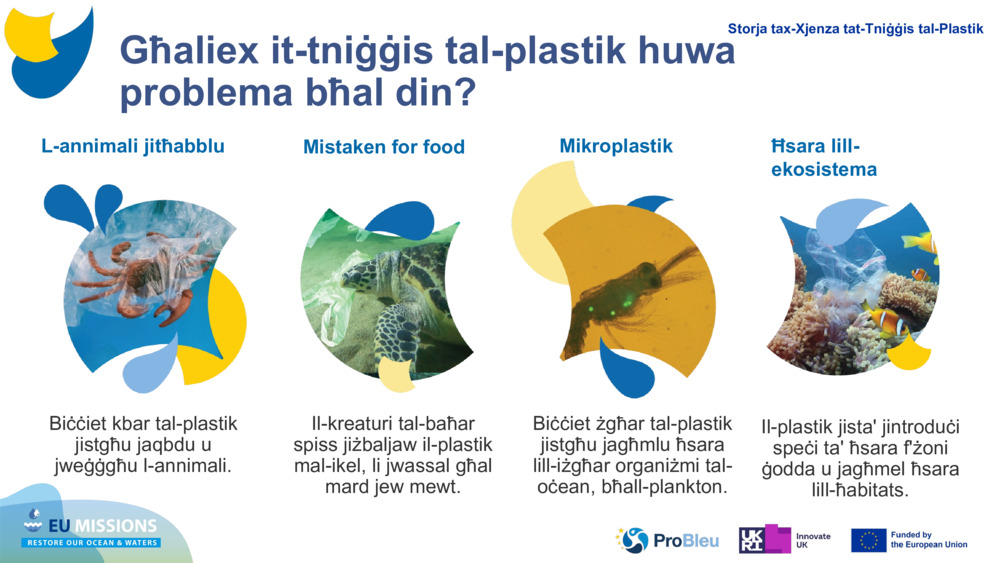 L-annimali jitħabblu