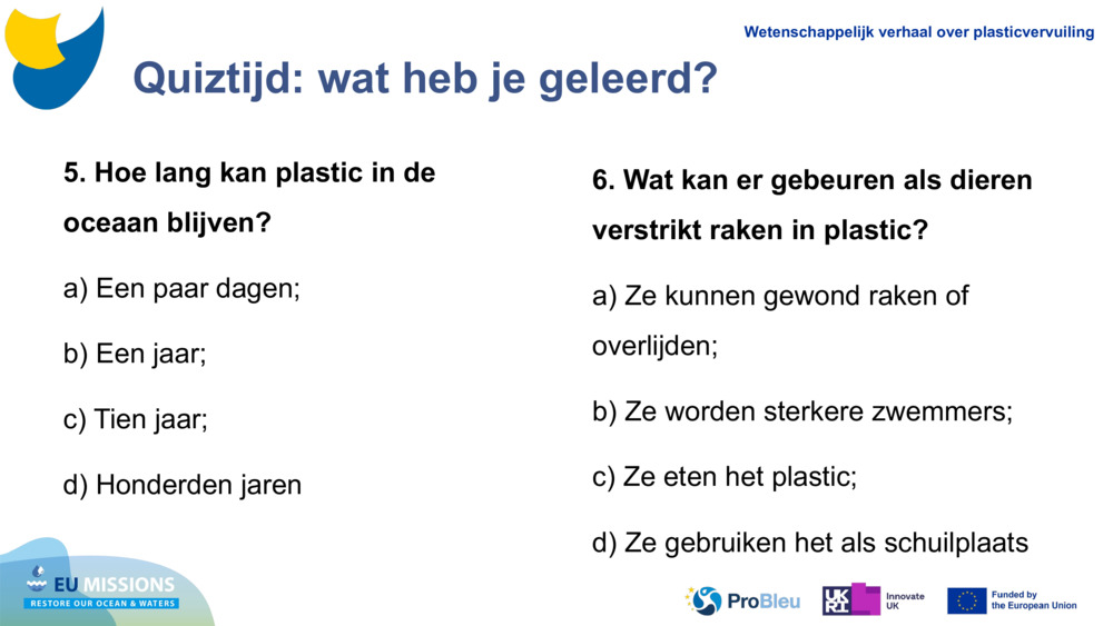 Quiztijd: wat heb je geleerd?
