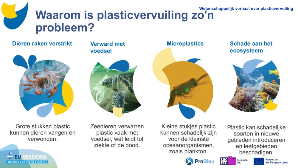 Dieren raken verstrikt