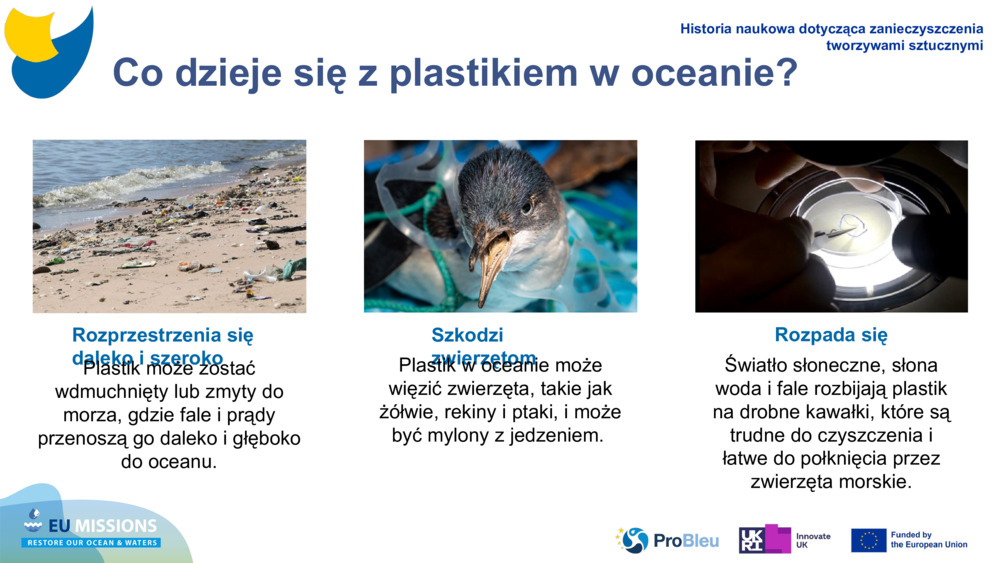 Co dzieje się z plastikiem w oceanie?