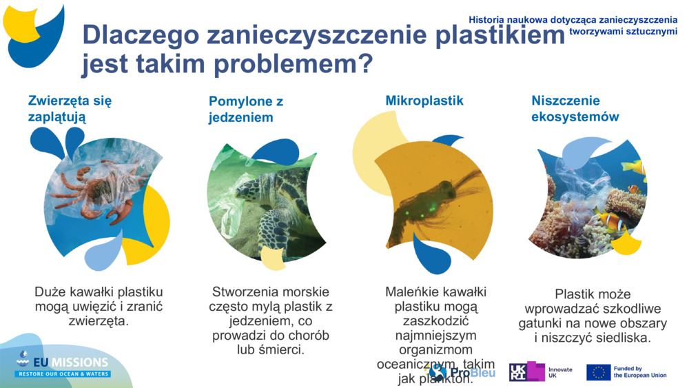 Zwierzęta się zaplątują