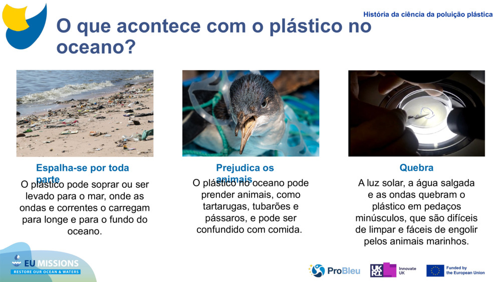 O que acontece com o plástico no oceano?