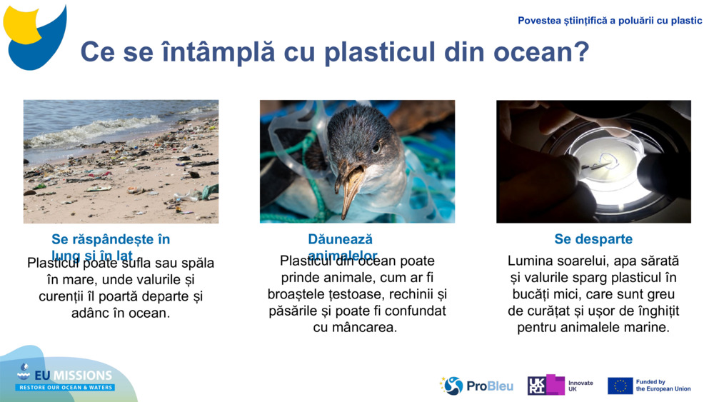 Ce se întâmplă cu plasticul din ocean?