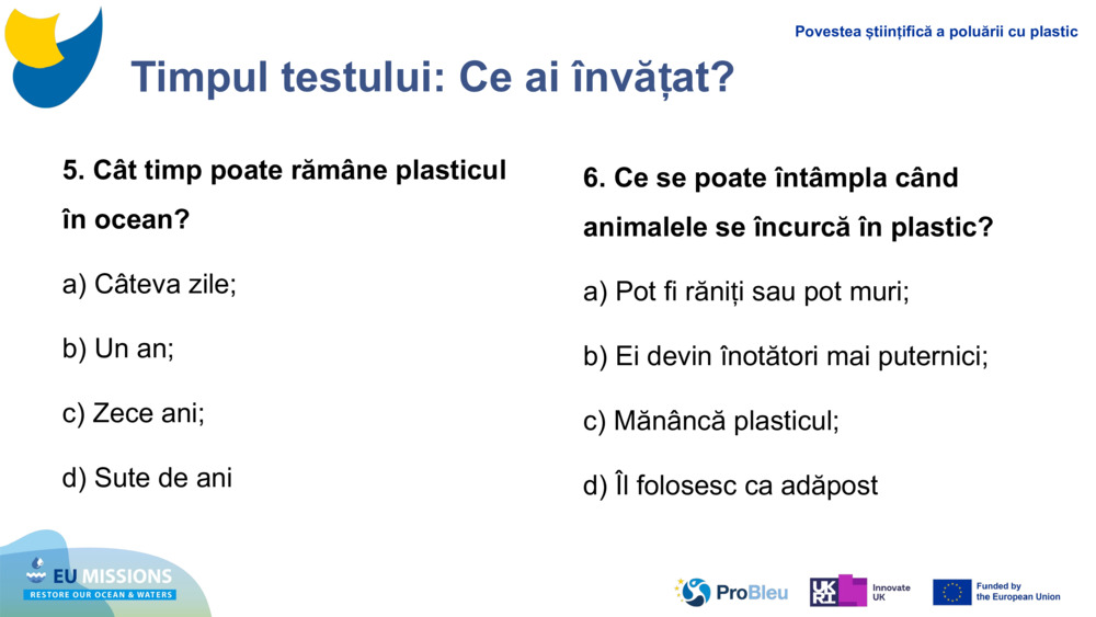 Timpul testului: Ce ai învățat?