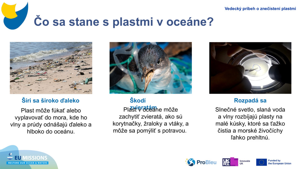 Čo sa stane s plastmi v oceáne?