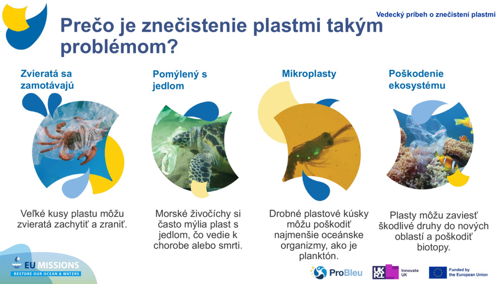 Zvieratá sa zamotávajú