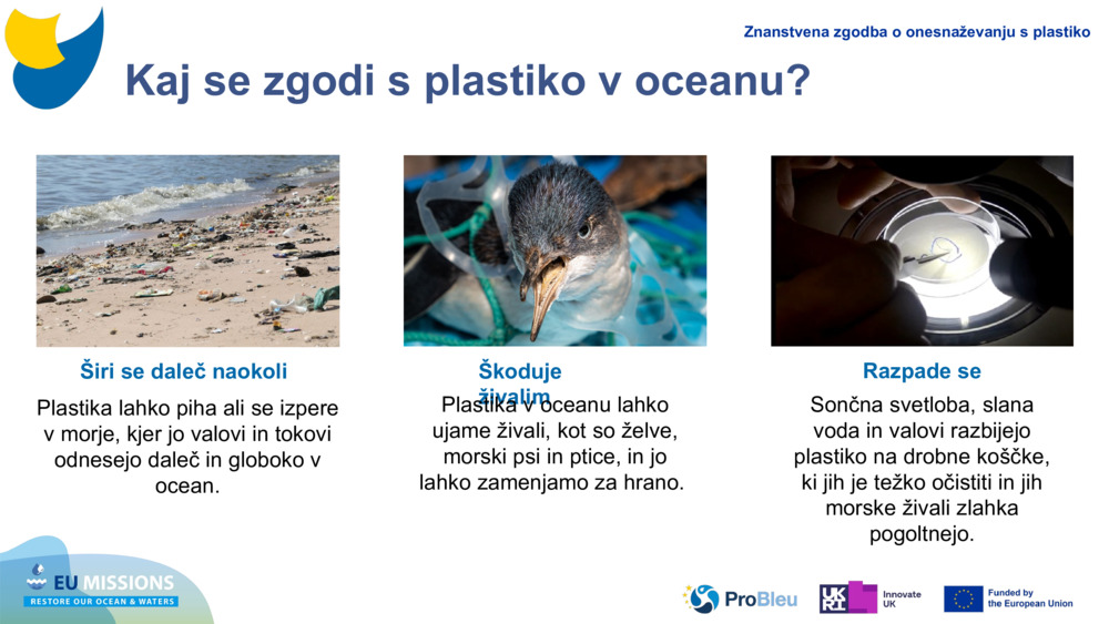 Kaj se zgodi s plastiko v oceanu?