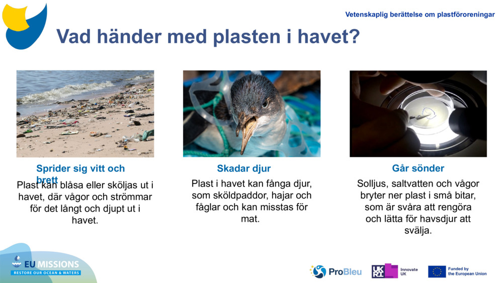 Vad händer med plasten i havet?