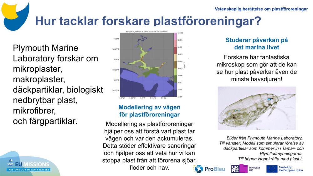 Hur tacklar forskare plastföroreningar?