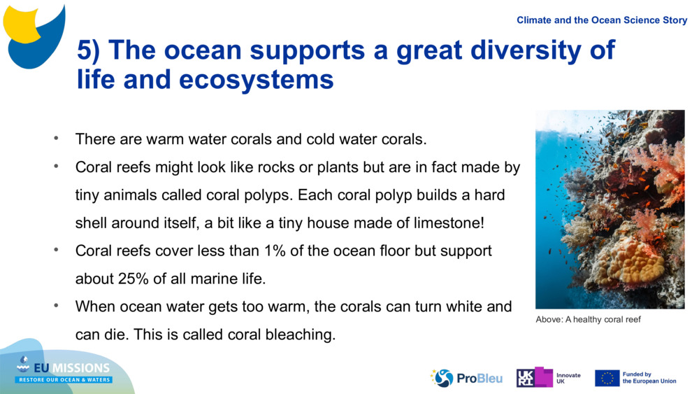 5) The ocean supports a great diversity of life and ecosystems