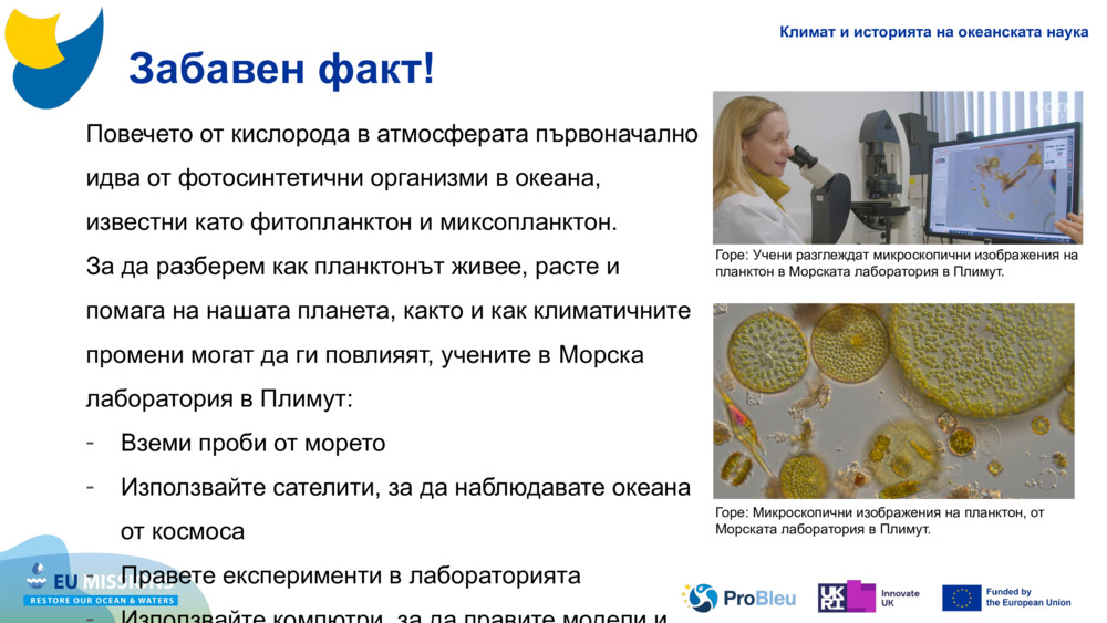 Повечето от кислорода в атмосферата първоначално идва от фотосинтетични организми в океана, известни като фитопланктон и 