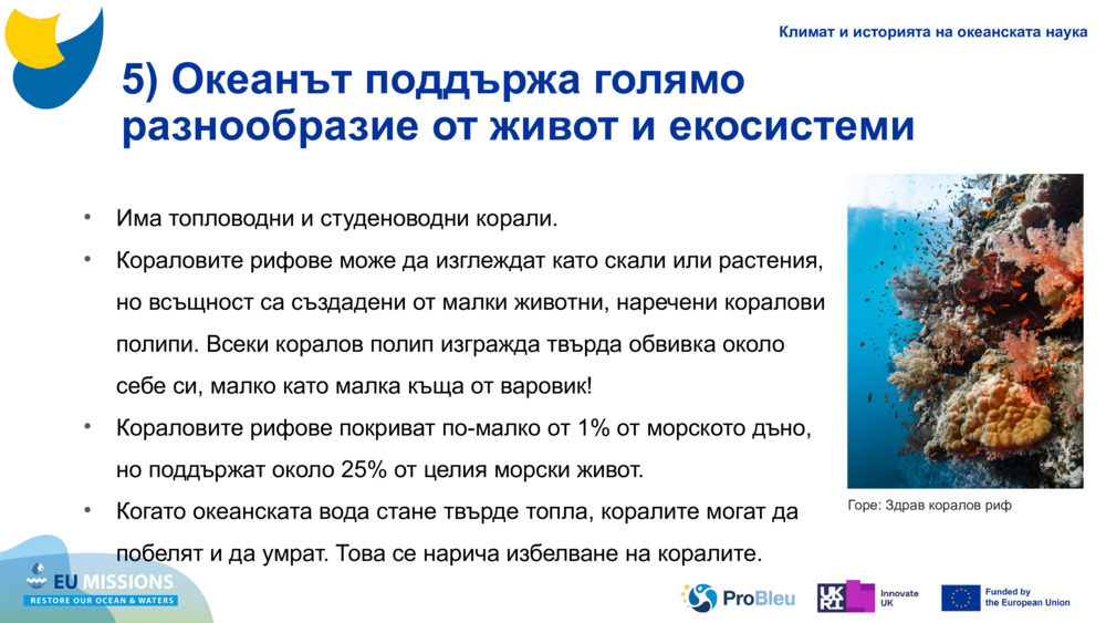 5) Океанът поддържа голямо разнообразие от живот и екосистеми