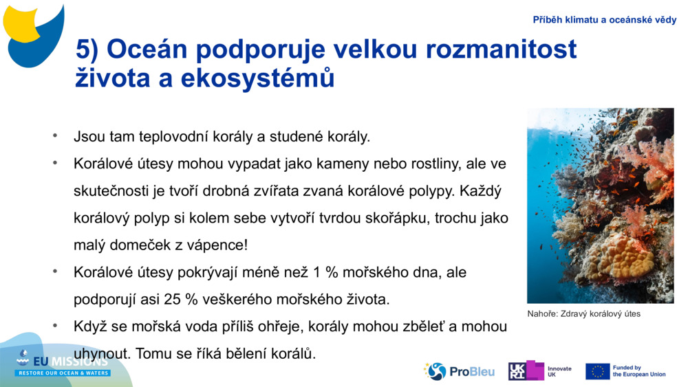 5) Oceán podporuje velkou rozmanitost života a ekosystémů