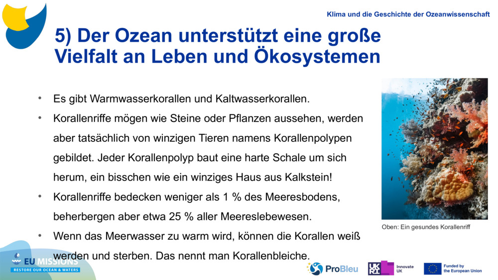 5) Der Ozean unterstützt eine große Vielfalt an Leben und Ökosystemen