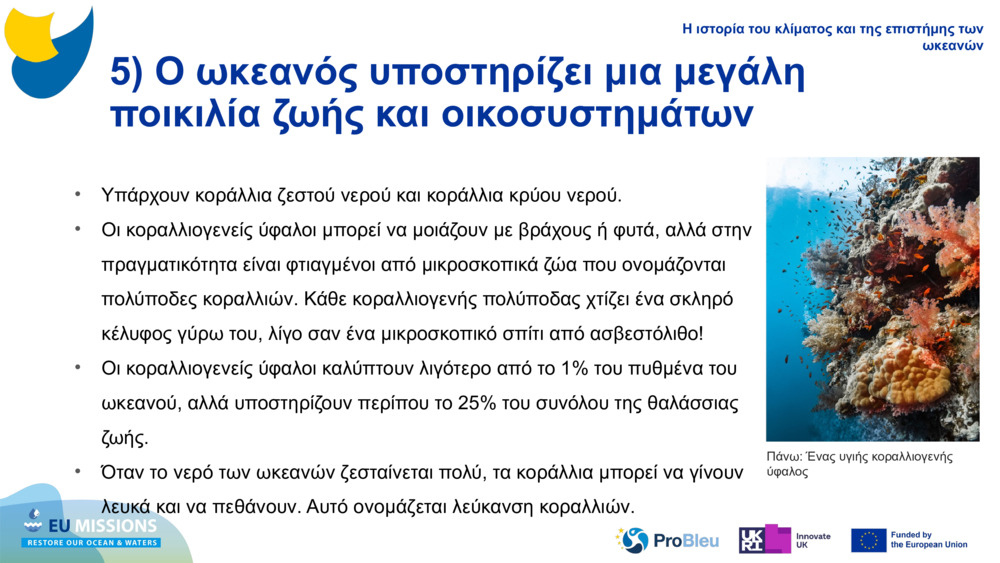 5) Ο ωκεανός υποστηρίζει μια μεγάλη ποικιλία ζωής και οικοσυστημάτων